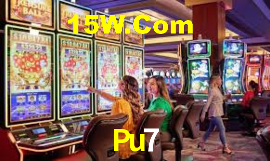 Pu7 - Installation Guide