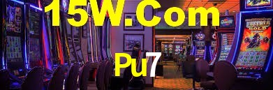 Premium Interface Pu7